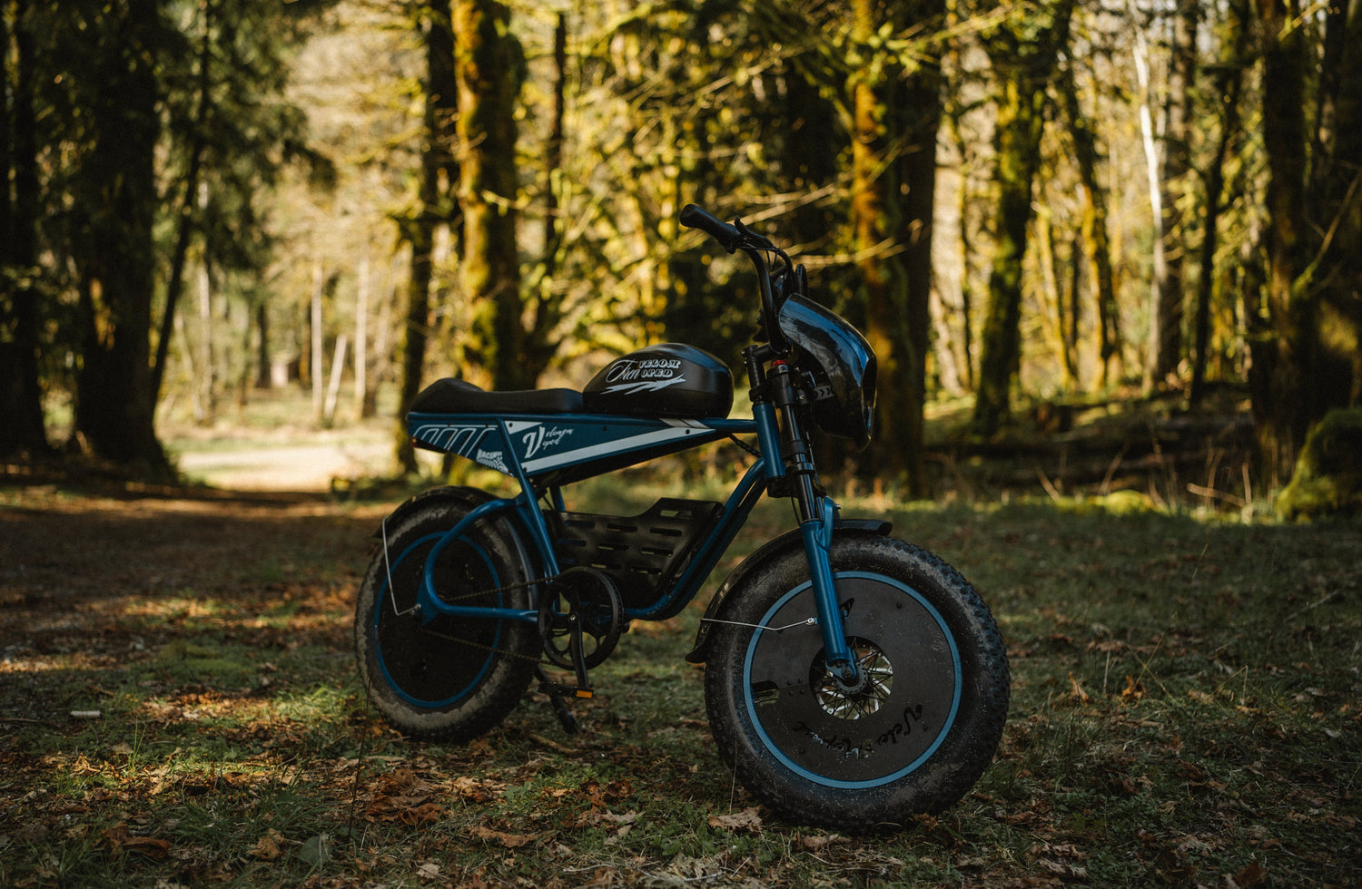 Mysterious New Release: The Ultimate "Electric Bicycle"?