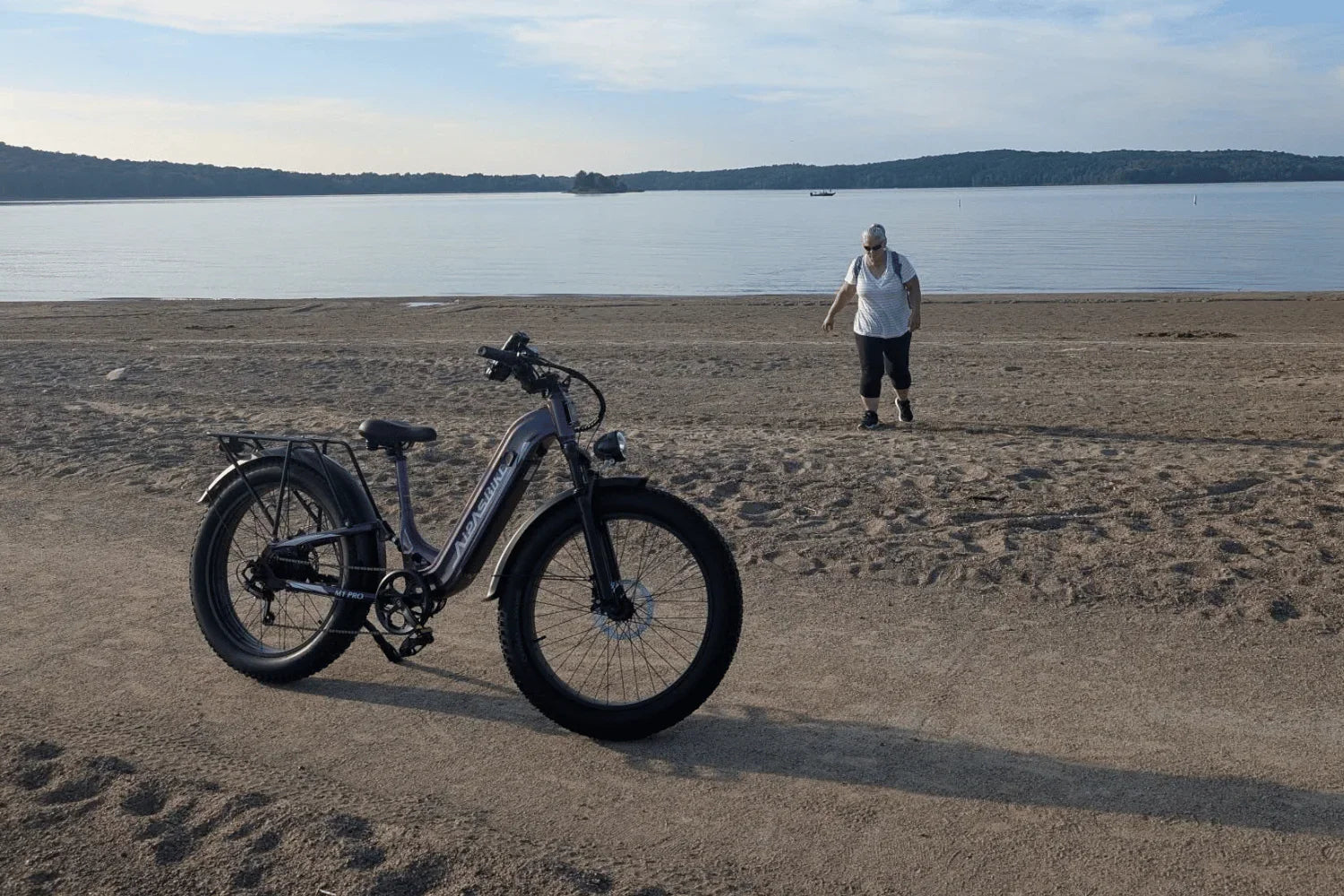 Top 3 Electric Bikes Under $800 for Adults – Affordable Ebikes 2025