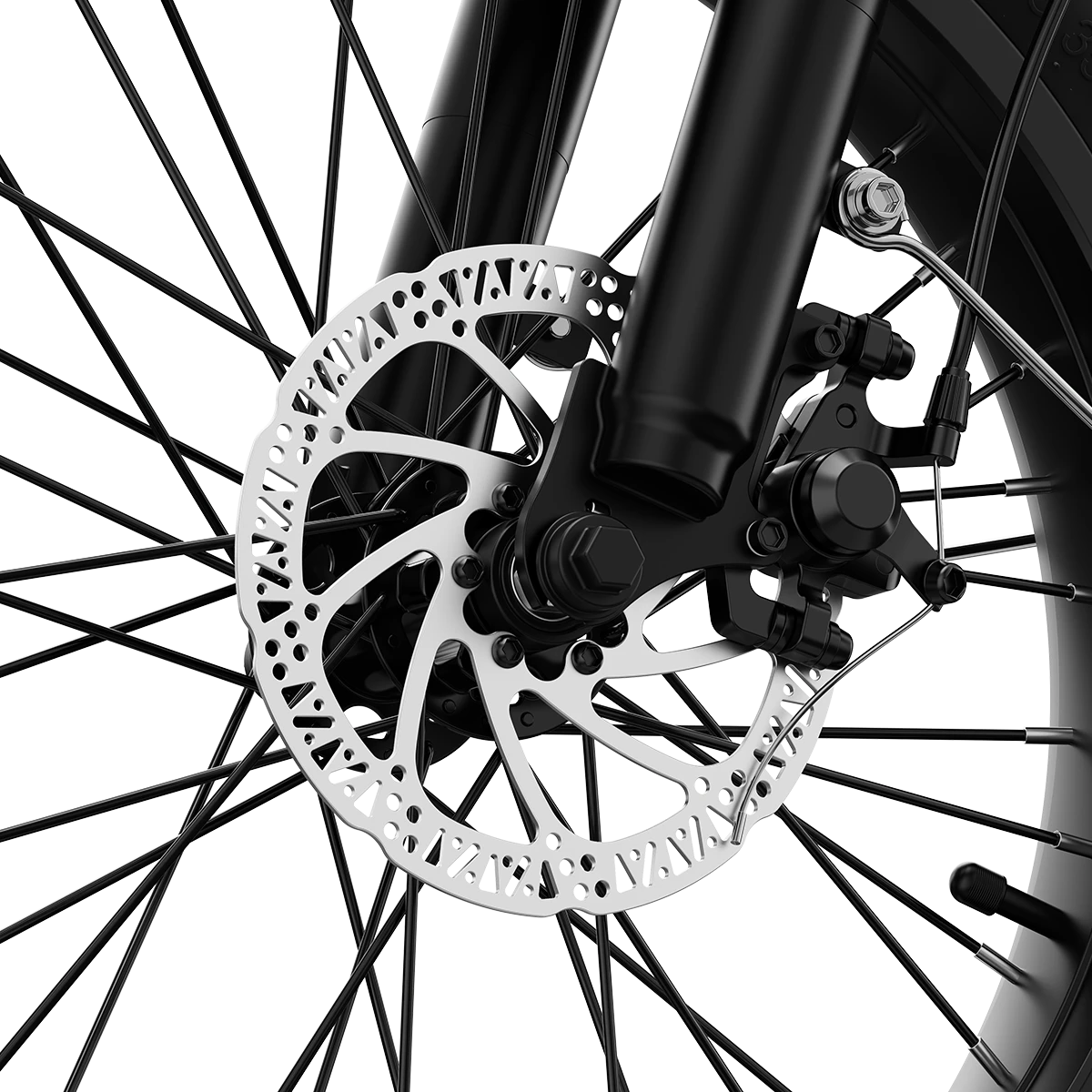 Aipas® A4 Gentry Ebike