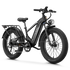 aipas m2 pro xterrain ebike
#color_black