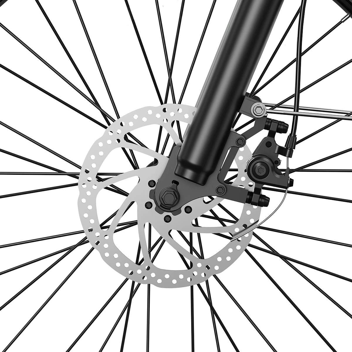 Aipas® M2 Pro Xterrain Ebike