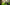 Fat tire electric bike in a green forest, ideal for all-terrain riding and commuting