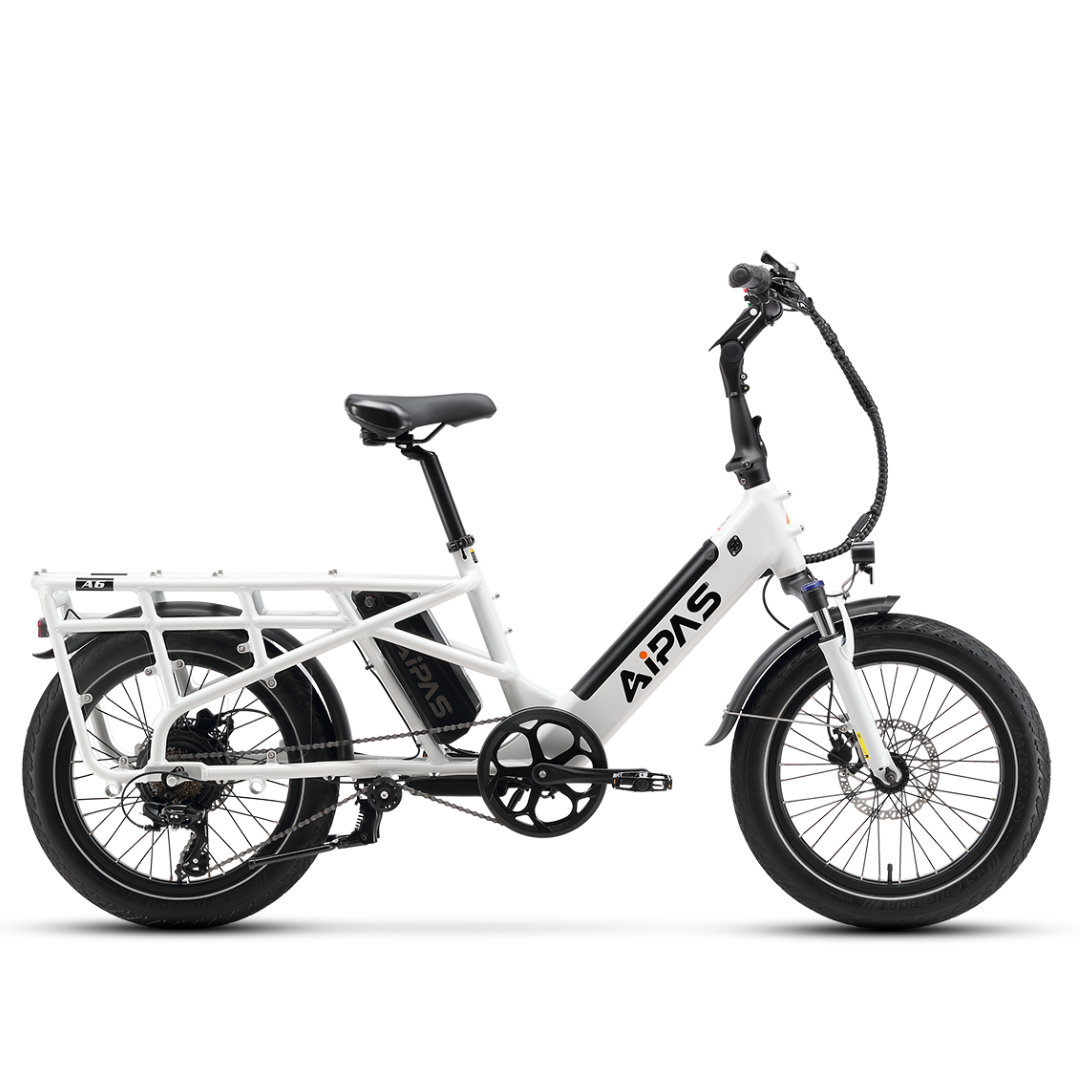 Aipas®A6 D VoltCargo Ebike