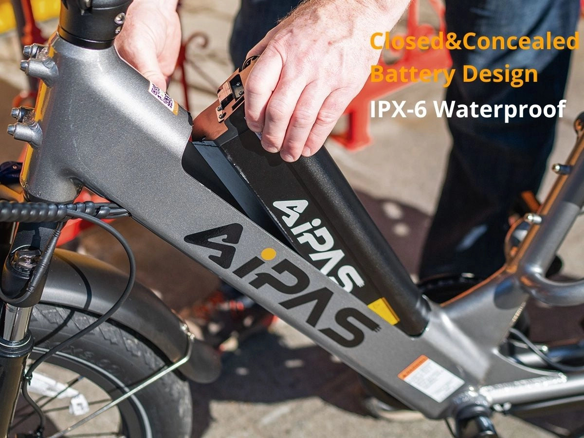 Aipas®A6 D VoltCargo Ebike