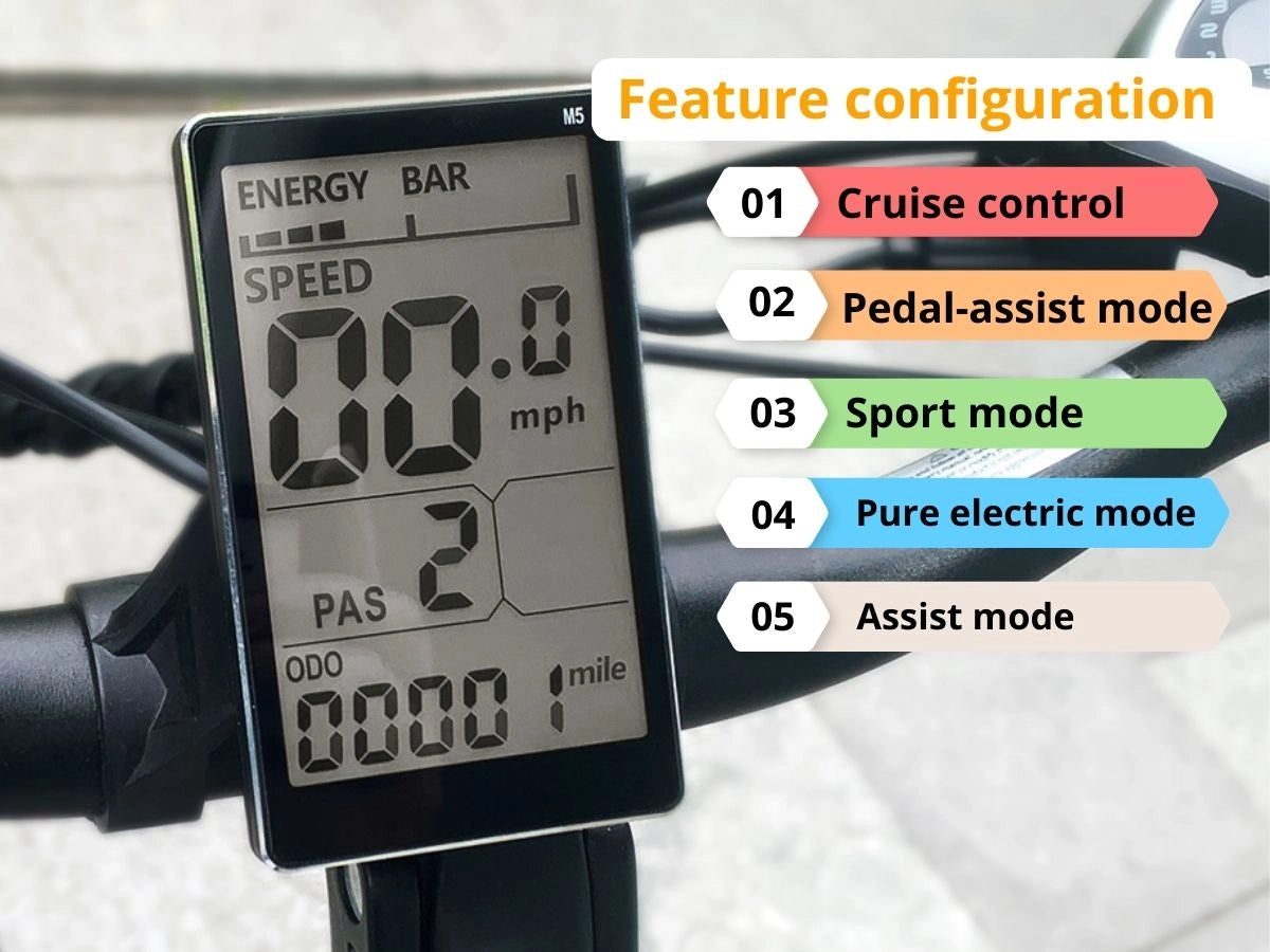 Aipas®A6 D VoltCargo Ebike