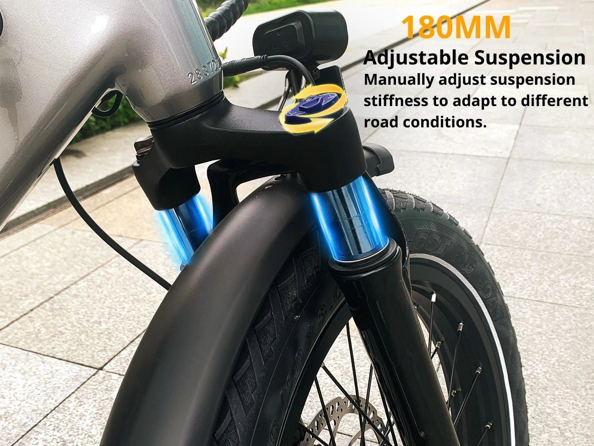 Aipas®A6 D VoltCargo Ebike