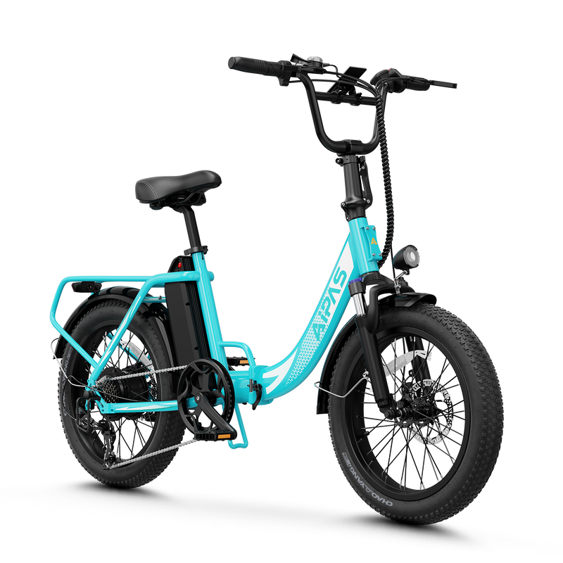 Aipas®A4 Gentry Ebike