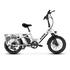 Aipas®A6 D Volt Cargo Ebike