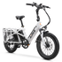 Aipas®A6 D VoltCargo Ebike