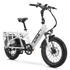 Aipas®A6 S VoltCargo Ebike