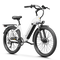 Aipas® C1 Max Xpress ST Ebike