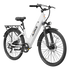 Aipas®C1 Xpress ST Ebike