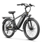Aipas® C2 Max Xpress Ebike