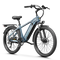 Aipas® C2 Max Xpress Ebike
