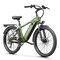 Aipas® C2 Max Xpress Ebike