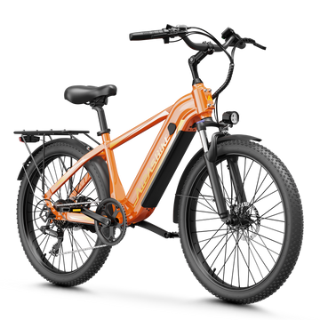 Aipas® C2 Max Xpress Ebike