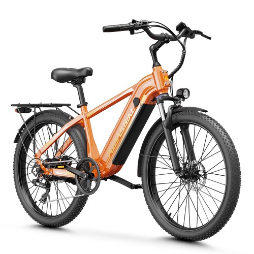 Aipas® C2 Max Xpress Ebike