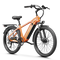 Aipas® C2 Max Xpress Ebike