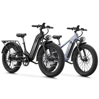 #color_M1 black+M2 gray