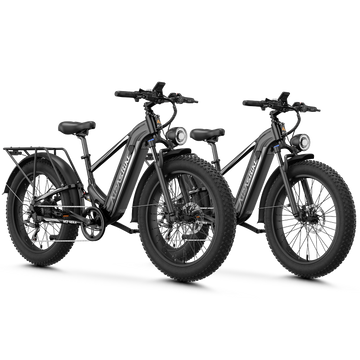 Ebike Combo Sale M2 Max
#color_black+black