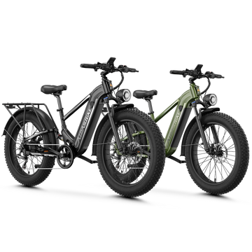 Ebike Combo Sale M2 Max
#color_black+Green