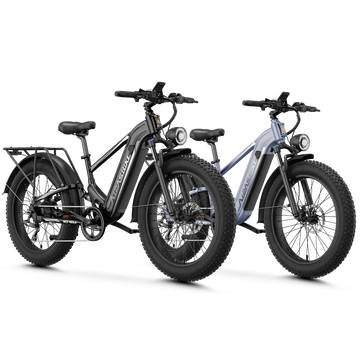 Ebike Combo Sale M2 Max
#color_black+Gray
