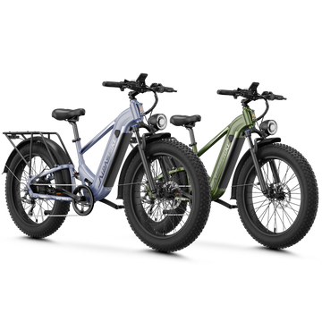 Ebike Combo Sale M2 Max
#color_gray+green