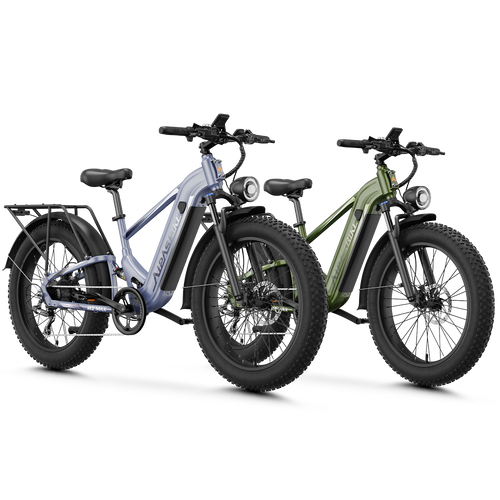 Ebike Combo Sale M2 Max
#color_gray+green