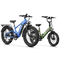 Aipas® Ebike Combo Sale M2 Pro + A2